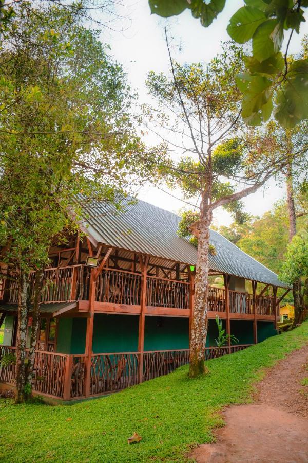 Cinnamon Village Sinharaja Денияя Екстериор снимка