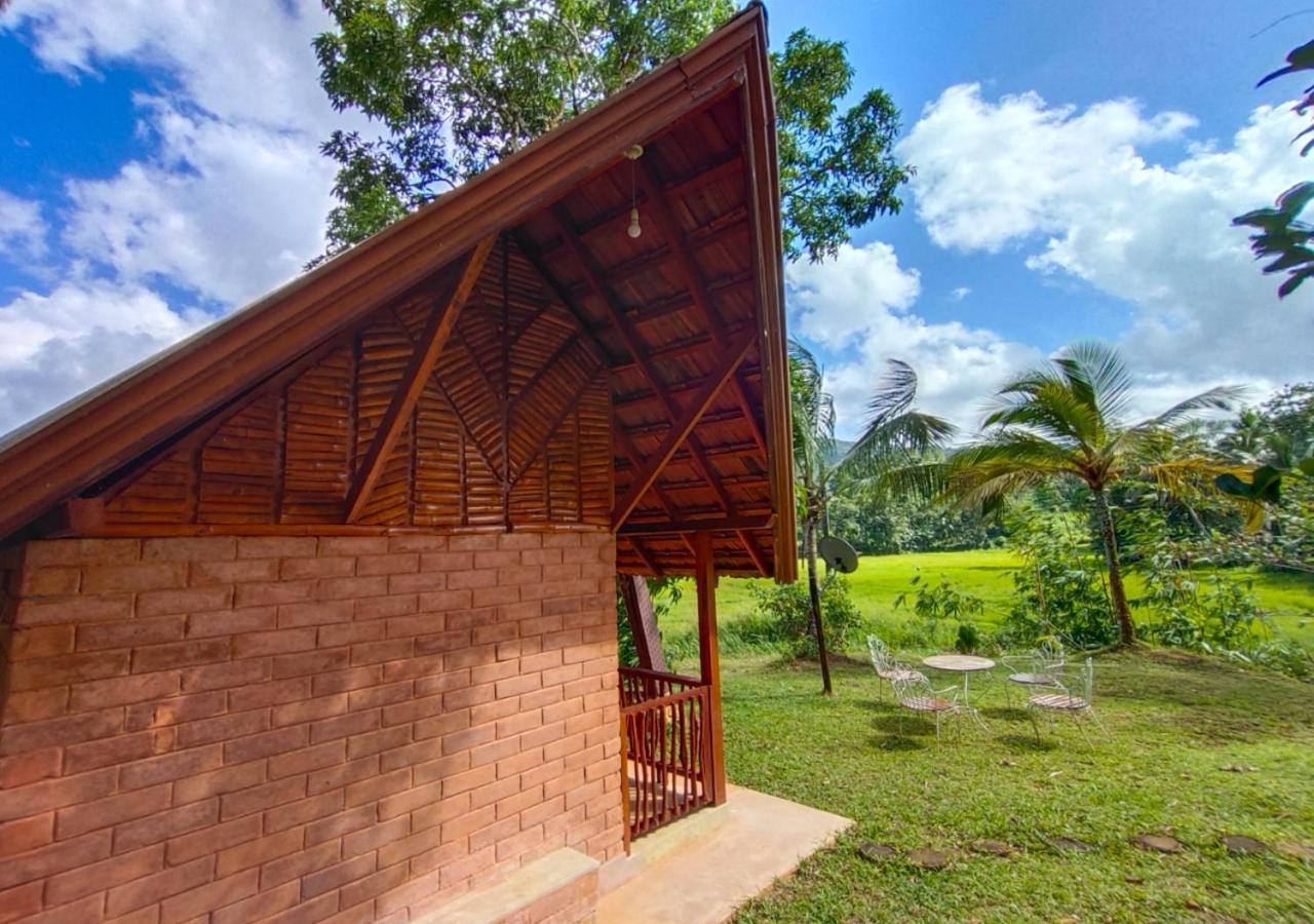 Cinnamon Village Sinharaja Денияя Екстериор снимка