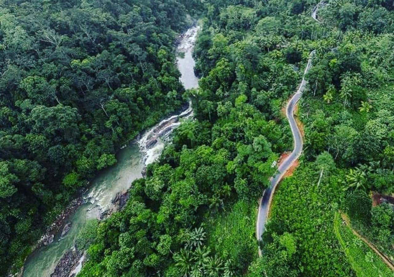 Cinnamon Village Sinharaja Денияя Екстериор снимка