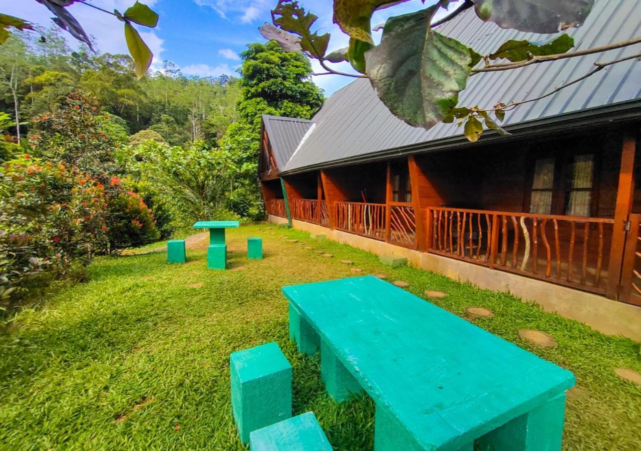 Cinnamon Village Sinharaja Денияя Екстериор снимка