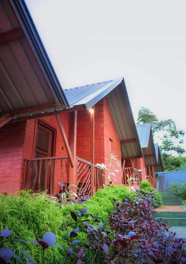 Cinnamon Village Sinharaja Денияя Екстериор снимка