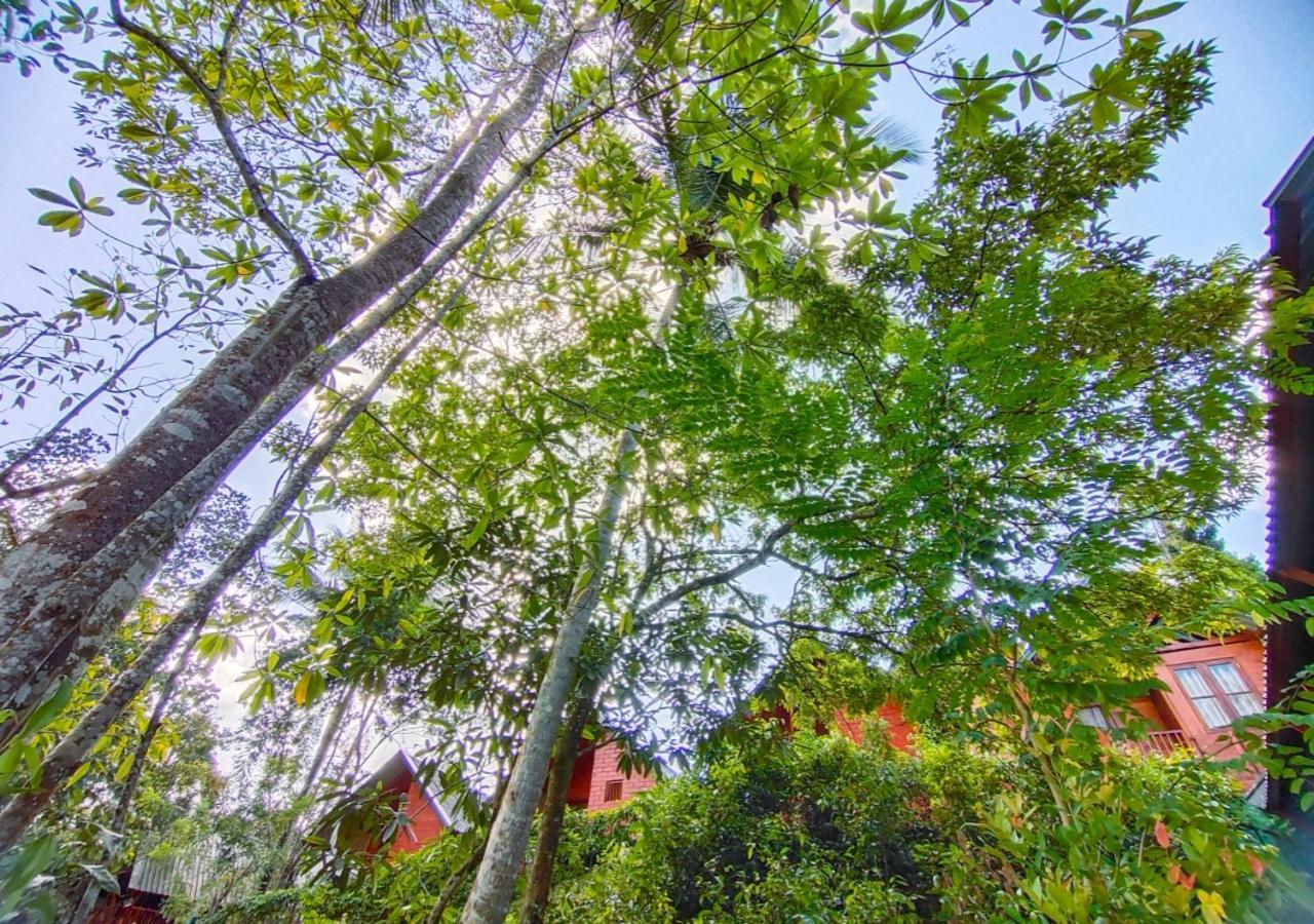 Cinnamon Village Sinharaja Денияя Екстериор снимка