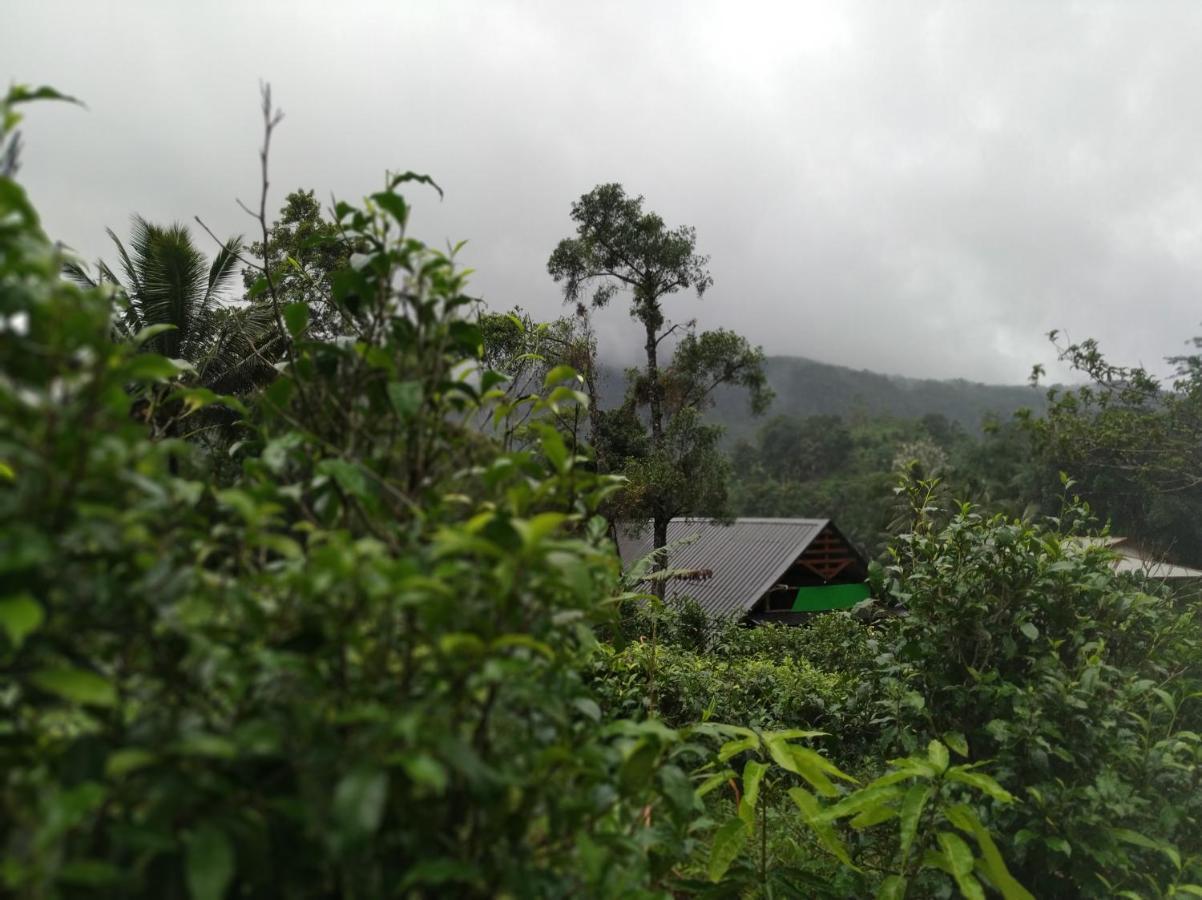Cinnamon Village Sinharaja Денияя Екстериор снимка